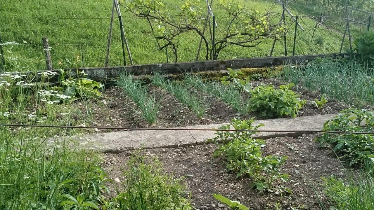 Ferme Familiale Chez Lili Villa Alex Eksteriør bilde